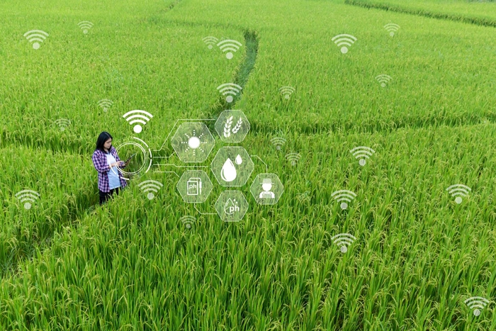 Broadband and Sustainability